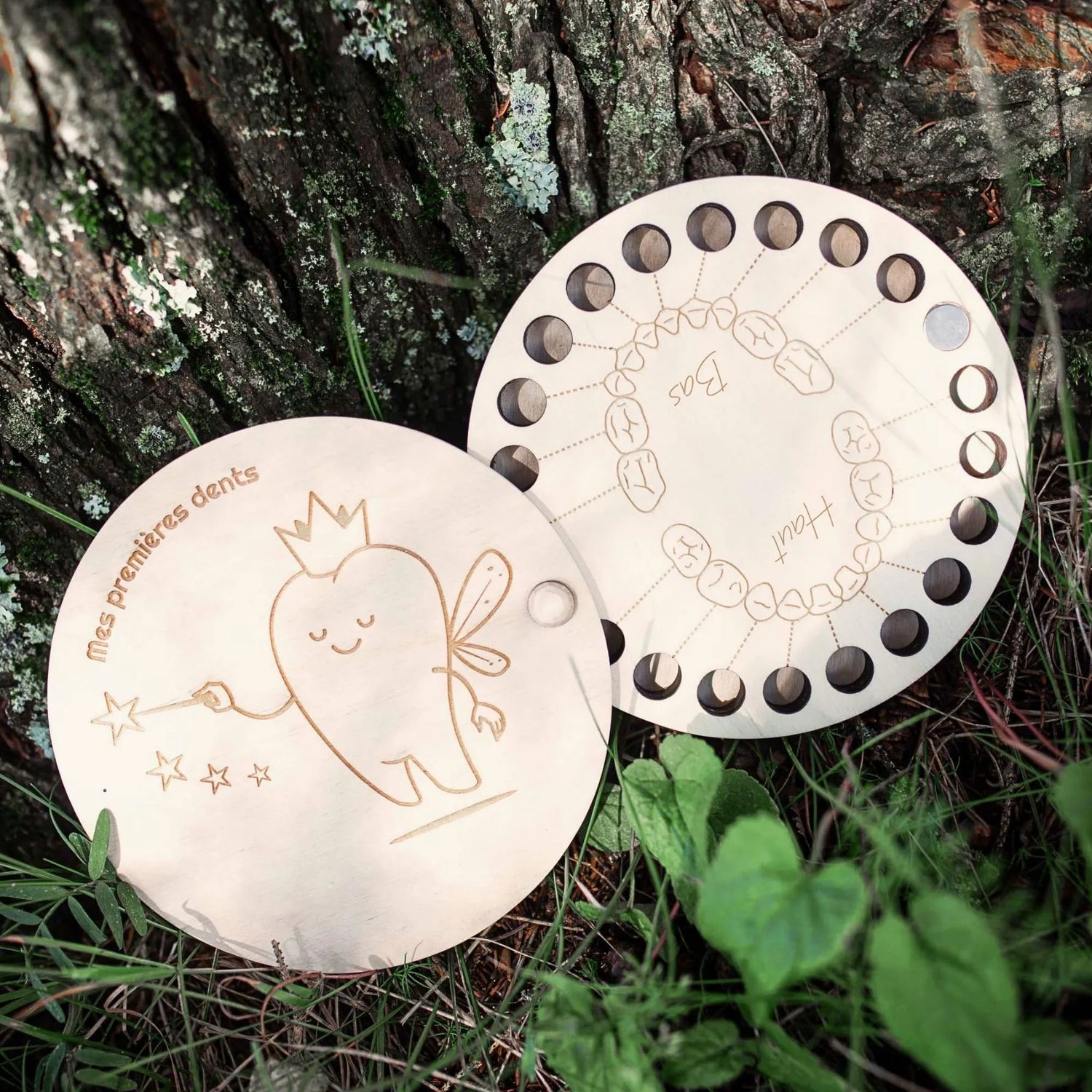 La boîte à dents en bois possède un trou où ranger chaque dent selon son emplacement dans la bouche, et son couvercle pivotant aimanté en fait une option pratique autant qu'esthétique. De fabrication artisanale au Québec.