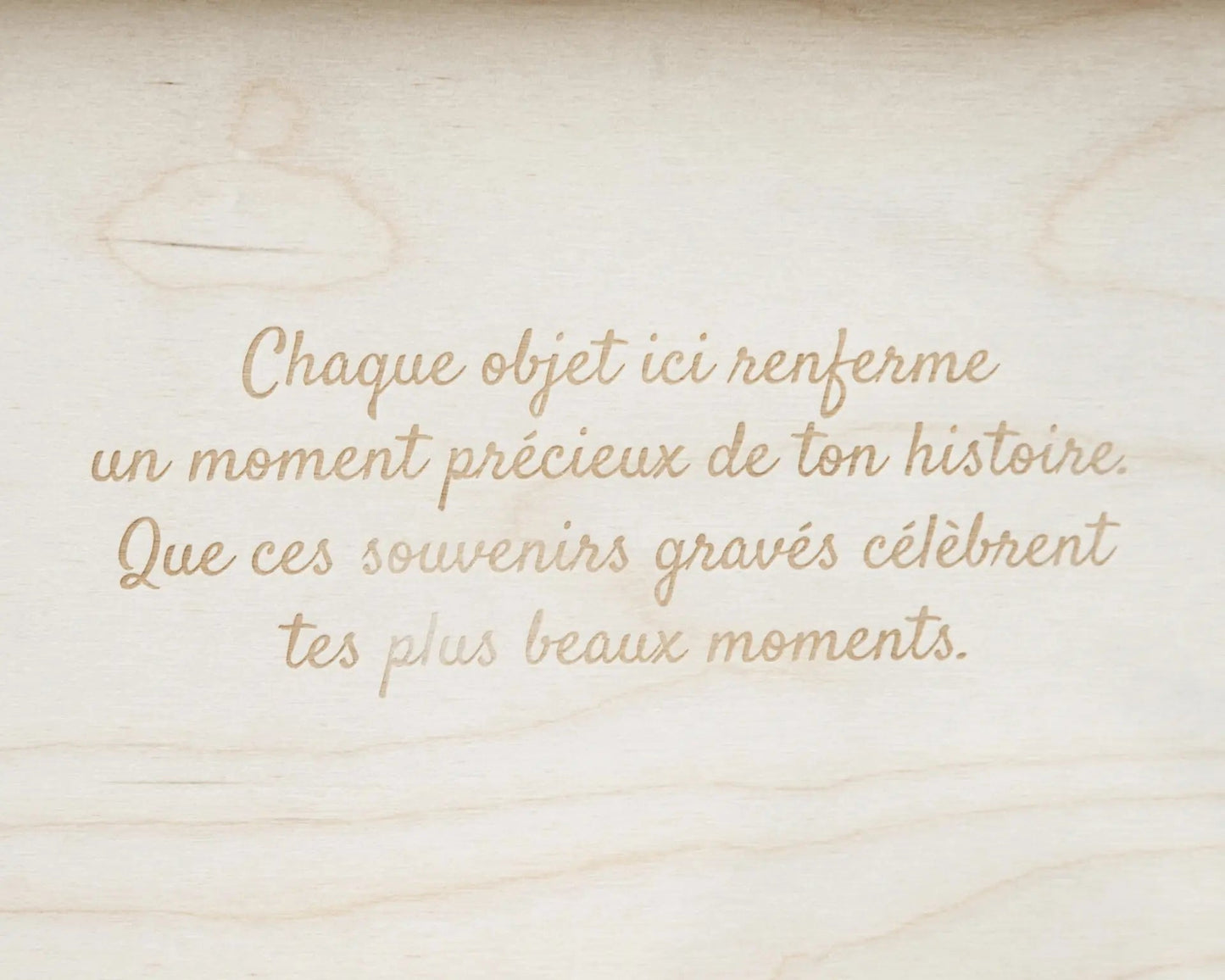 Valise de souvenirs: photographie illustrée