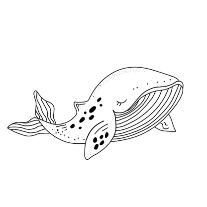 Illustration d'une baleine qui peut être gravée sur une valise de souvenirs de fabrication artisanale québécoise de Souvenirs du Hangar